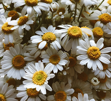 Image by Yulia Mostova