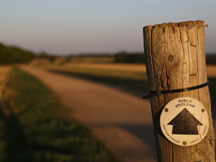 Overcoming Limited Visibility into the Customer Journey in B2B Sales