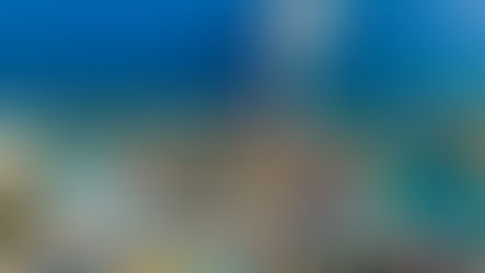 Royal Caribbean vs Disney Cruise Line: Which Cruise Is Best for Families?