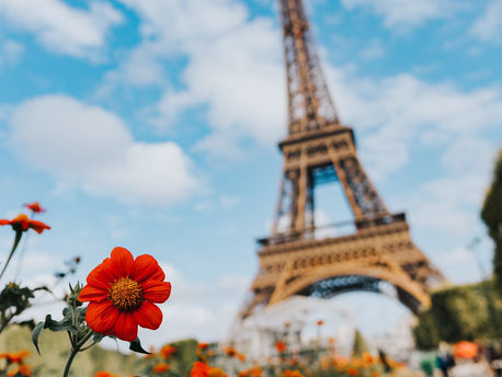 bureaucratic errors Indian students make in France