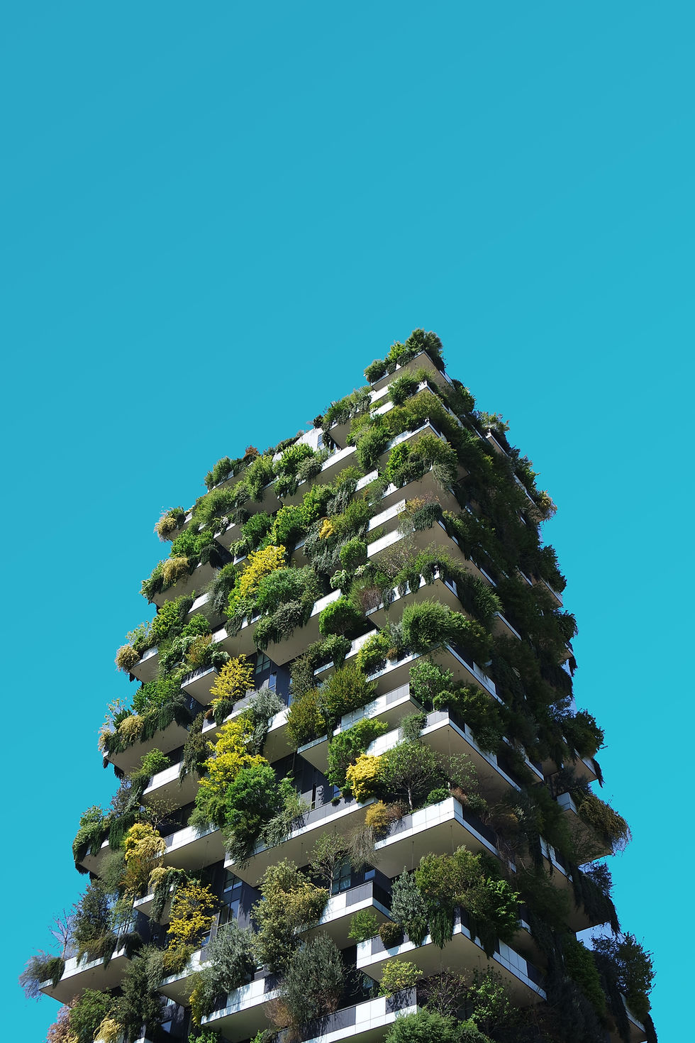 Environmental Assessment Groupe SBSE
