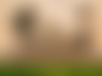 Advising Finnish Company with Operations in India