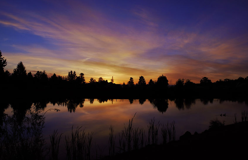 Image by Rick Medlen