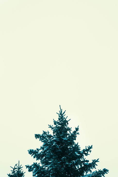 Image by Sigmund