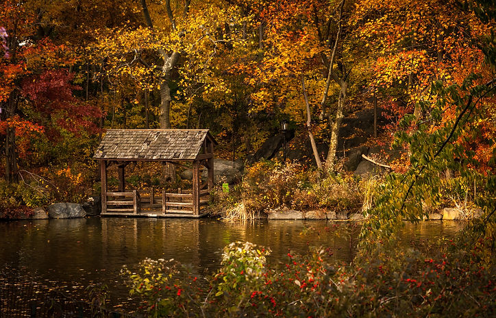 Image by Matthew Pla