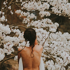 Image by Rodolfo Sanches Carvalho