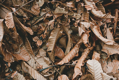 Image by HQ Lightroom Presets