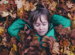 Image de Annie Spratt