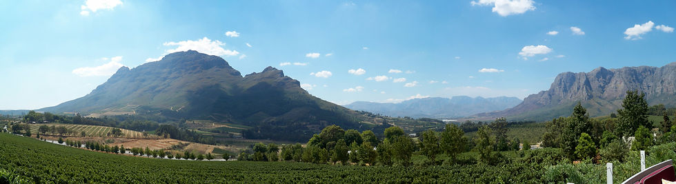 Stellenbosch