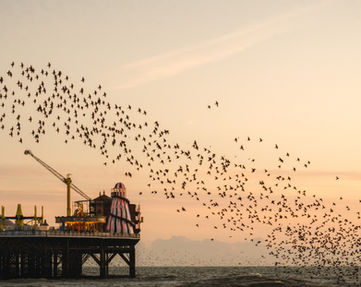 Image by Rhys Kentish