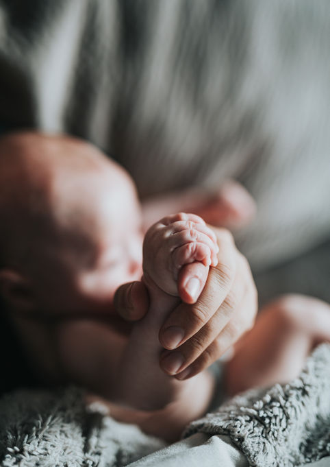 Newborn Photography by Blake Ferguson depicts the Hands of a Small Baby holding the Parent in Ontario, Canada.