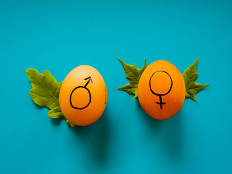 Gender Differences in Communication
