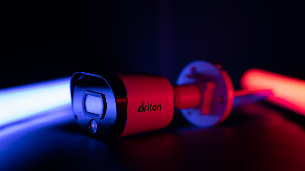 Image by Mehran Biabani