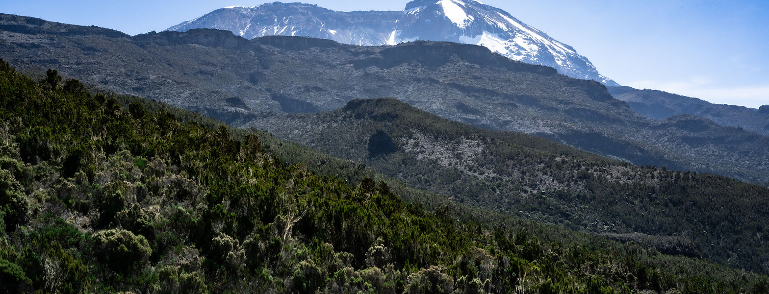 Image by Daniel Vargas