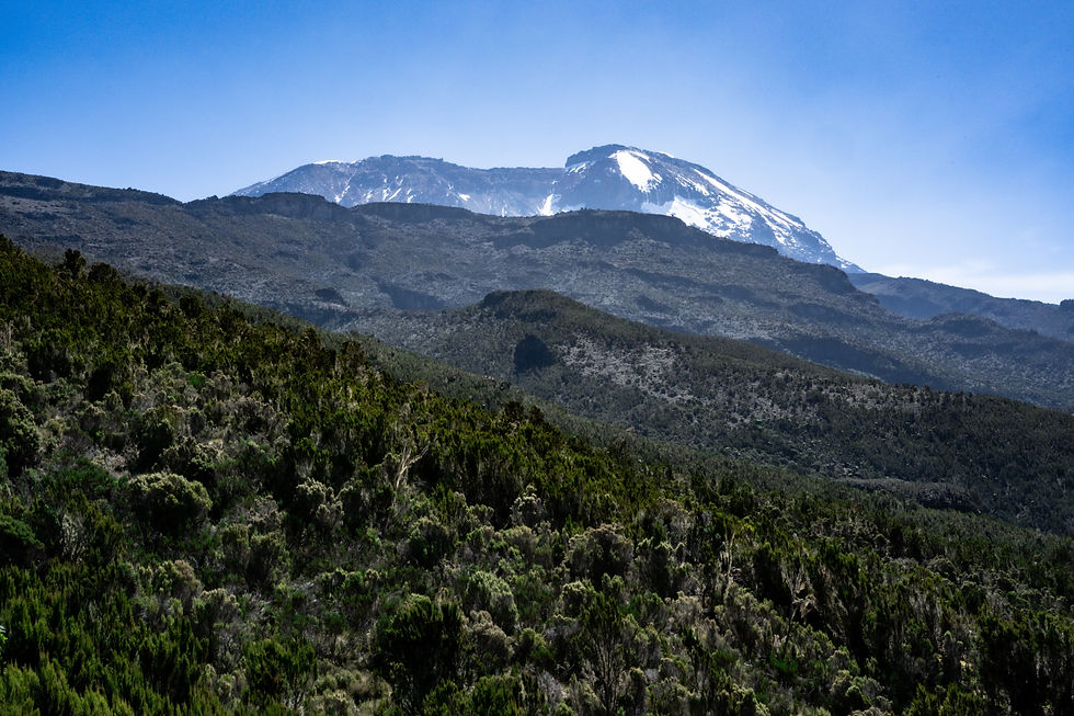 Image by Daniel Vargas