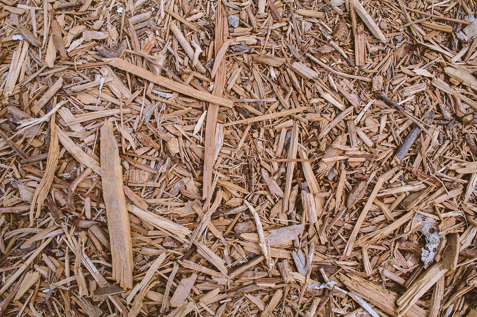 Close-up of wood chips like those left after stump grinding