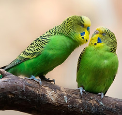 Image by William Warby