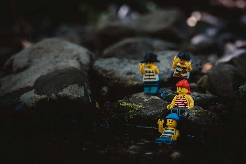 Image by Tom Briskey