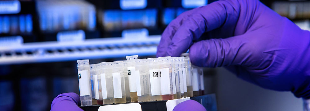 Pre-employment Drug Testing