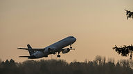 airline with luggage missing