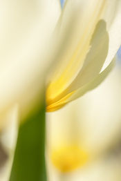 Image by Zdeněk Macháček