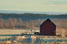 Image by Marko Hankkila