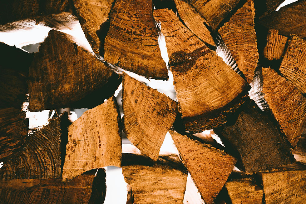 Firewood stacked with good airflow