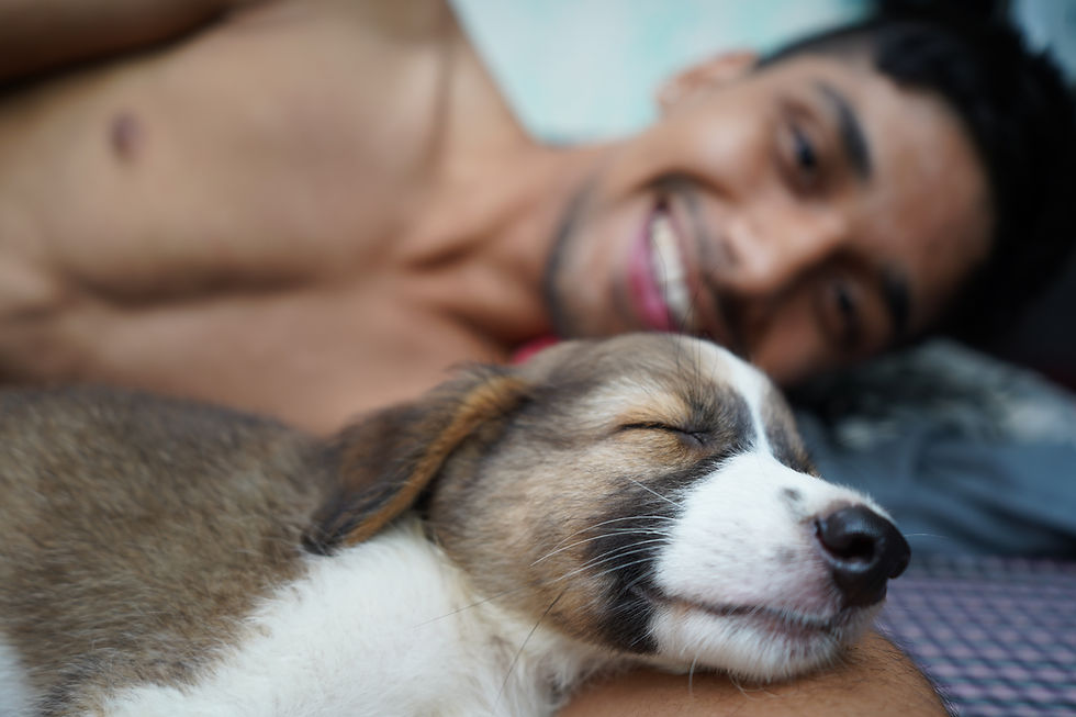 puppy slaapt in bed