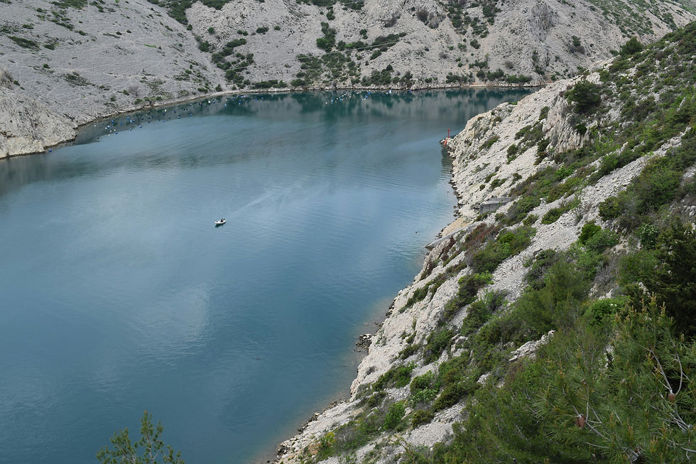 Image by Kristina Kutleša