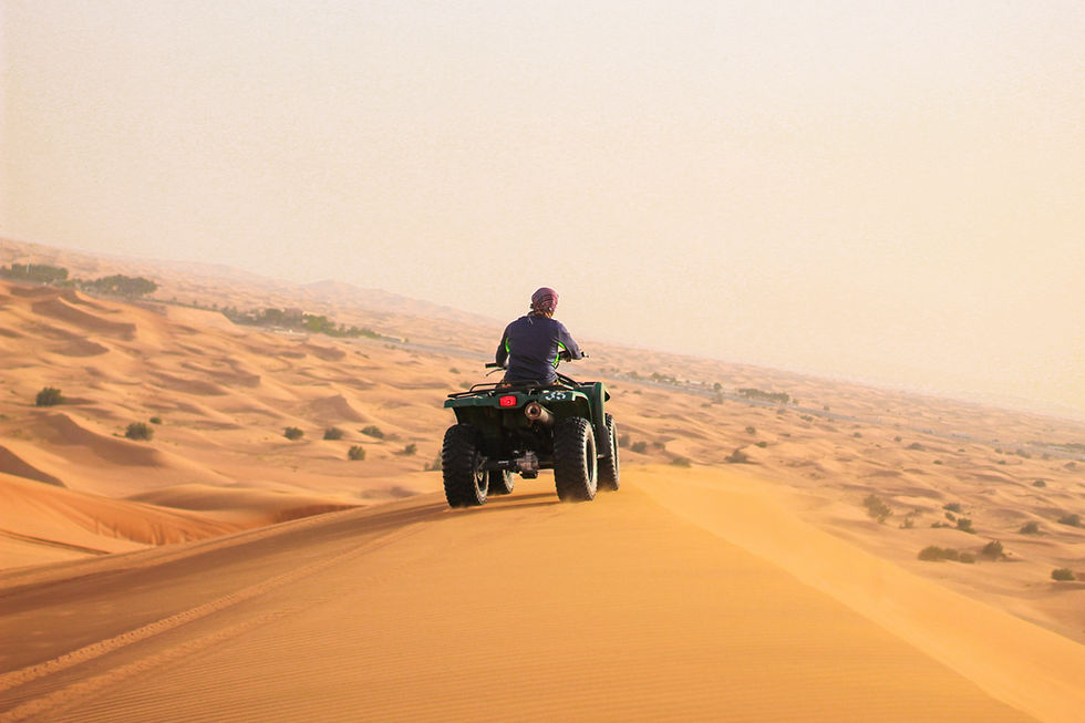 dubai desert