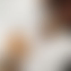 Design Show Australia to Collaborate with New Zealand Trade & Enterprise, Spotlighting Global Design