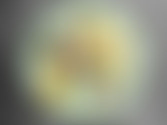 America’s Favorite Cheeses: A Culinary Tapestry