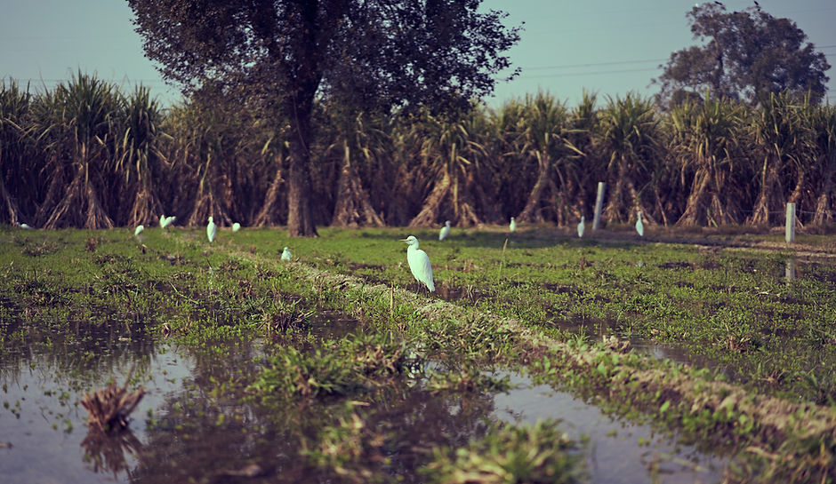 Image by Ashwini Chaudhary