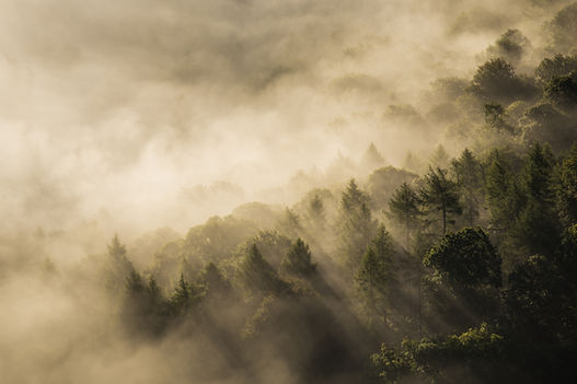 Image by Rebecca Prest