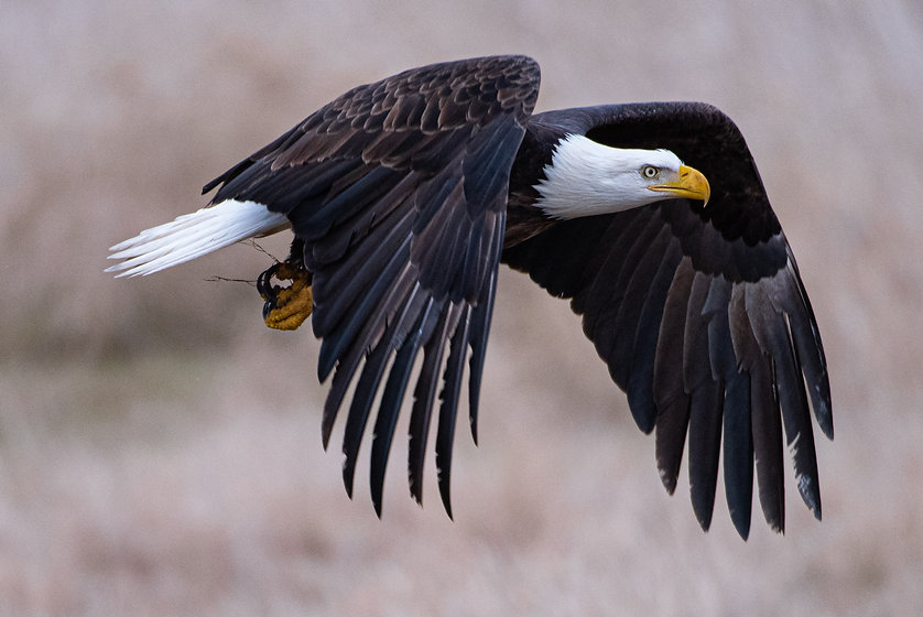 Image by Richard Lee