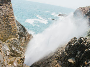 La Bufadora: An Epic Family Adventure on the Baja Coast