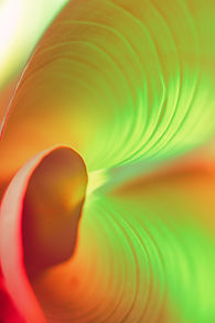 Image by Subvertivo Lab