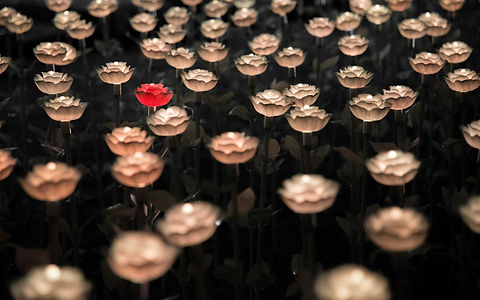 Image by Arisa Chattasa