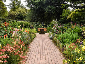 Quelles sont les étapes d'un coaching?