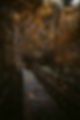 Image by redcharlie