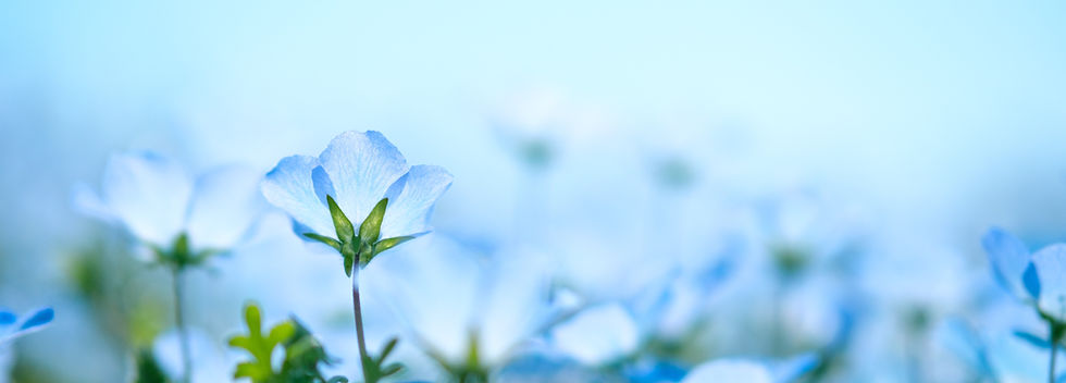 Image by Sora Sagano