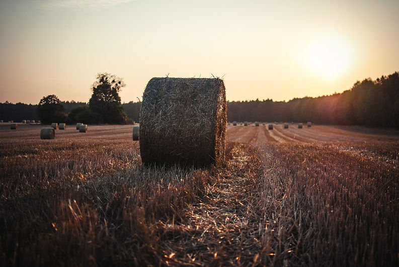 Image by Erik Witsoe