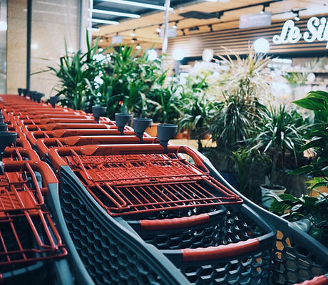 Image by Veronika Koroleva