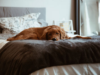 Image by Conner Baker