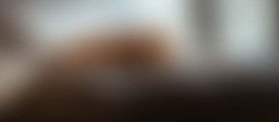 HOW-TO MAKE YOUR HOUSE A HOME — Pets Edition