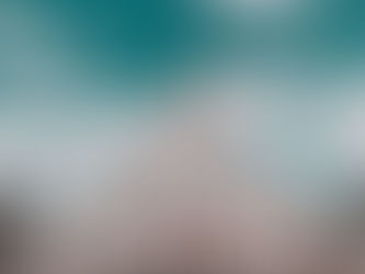 A Dog-Friendly Journey to Orlando, hotéis que aceitam animais de estimação em Orlando