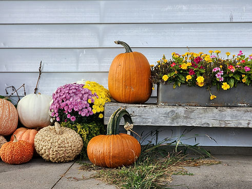 Image by gretta vosper