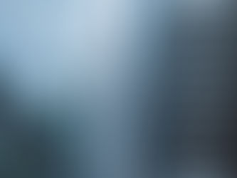 VIP NYC Transfers - Executive Chauffeur Services NYC: The Art of Arrival