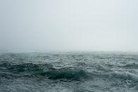 Image by JOHN TOWNER