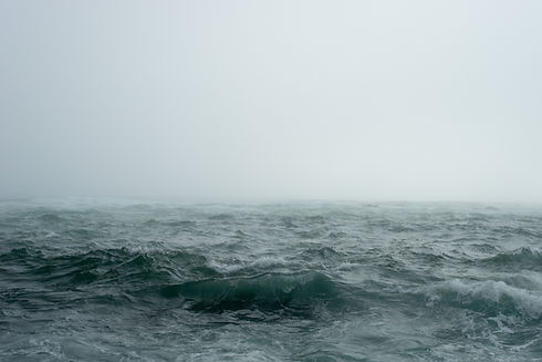 Image by JOHN TOWNER